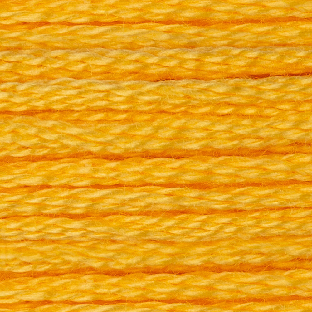 DMC Stranded Cotton - Warm Shades
