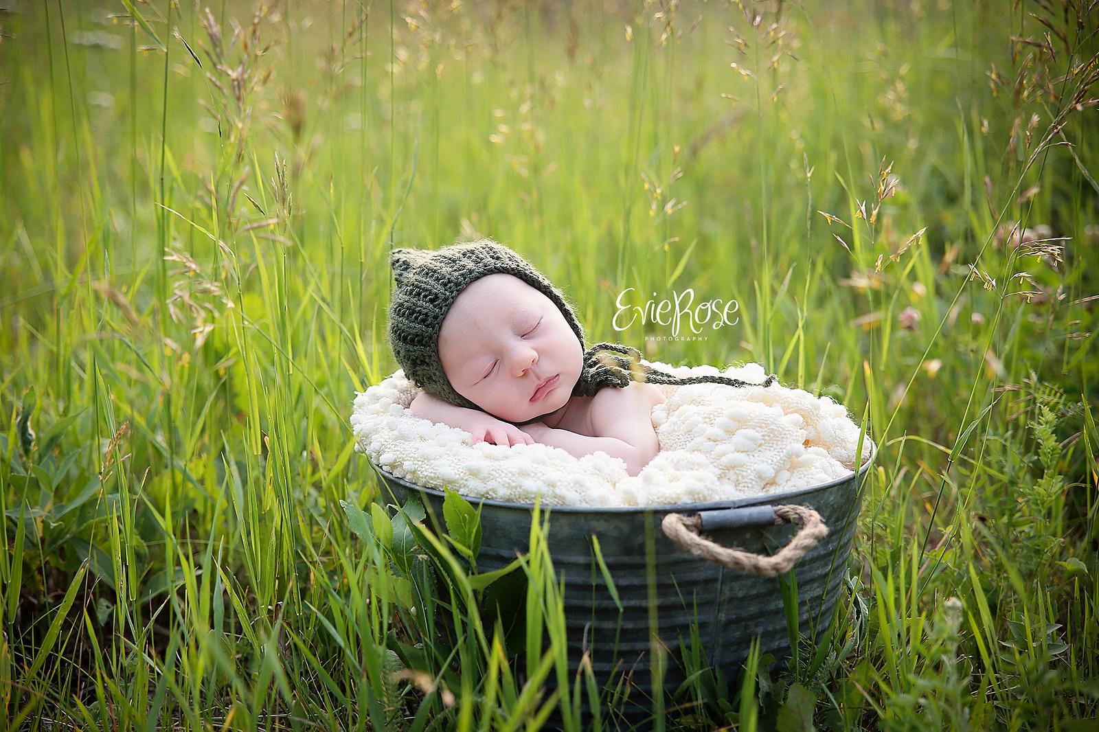 Piper Pixie W