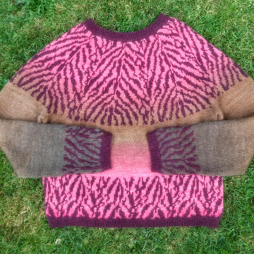 Zoologist Pullover 423