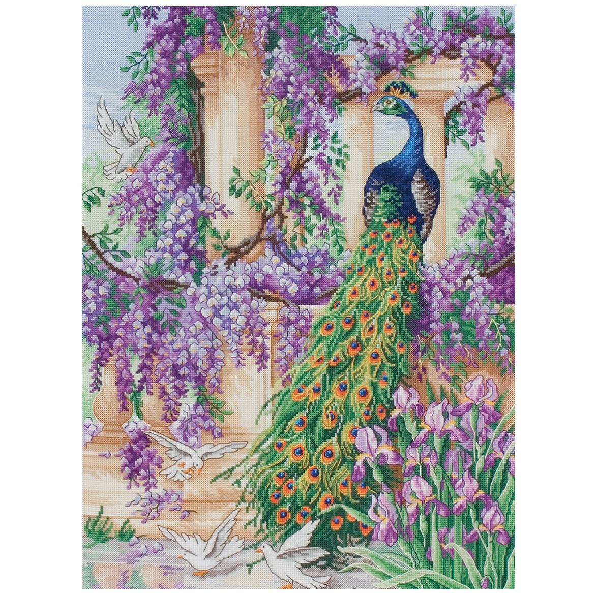 Anchor The Peacock Cross Stitch Kit - 40cm x 30cm