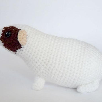 Hungry guinea pig