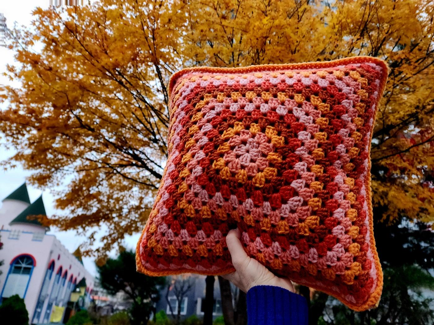 Twilight so bright 26 Cushion