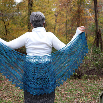 Meshing Around Shawl