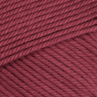 Raspberry (356)