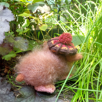 Sonsie the Feral Haggis