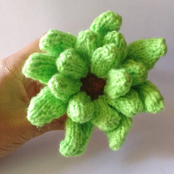 ECHEVERIA SUCCULENT knit