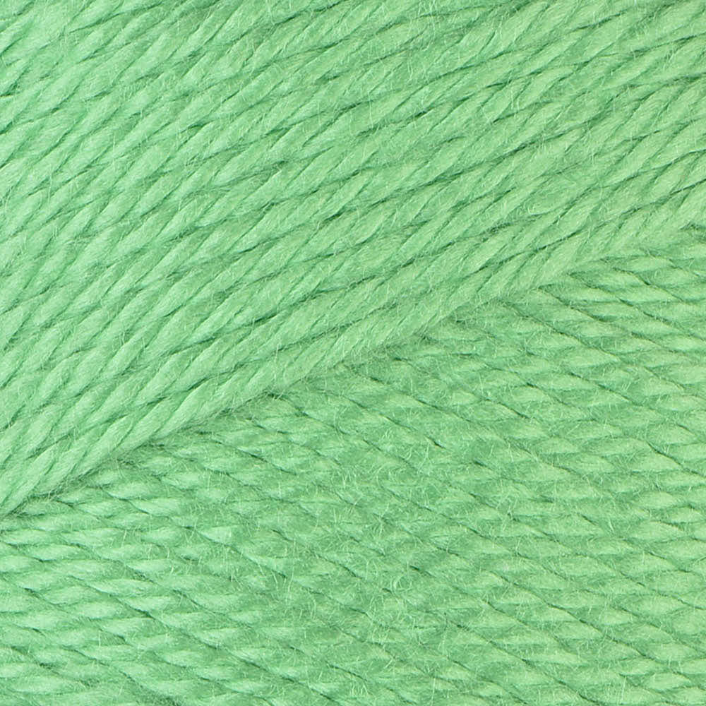 Caron Simply Soft Brites