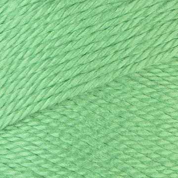 Caron Simply Soft Brites