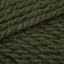 Olive (2302)