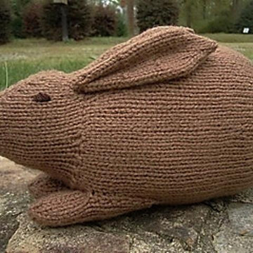 Henry's Rabbit