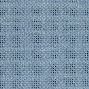 Blueberry (35760A)