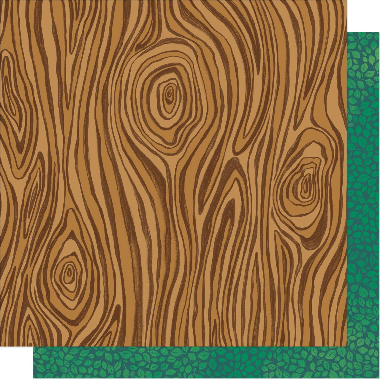 American Crafts Shimelle Never Grow Up Double-Sided Cardstock 12"X12" 25/Pkg - Live Outdoors