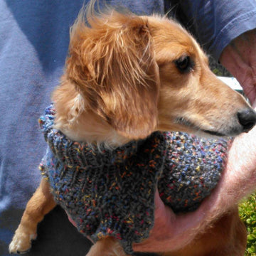 Lena's Cozy Brioche Miniature Dachshund Dog Sweater