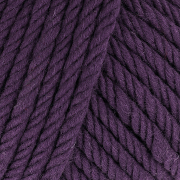 Eggplant (33)