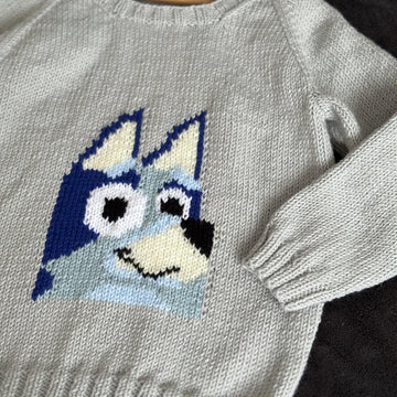 Bluey toddler jumper