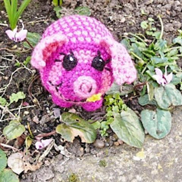Pericles the  piglet