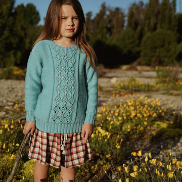 Amika Joy Sweater - LF34