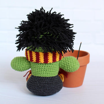 Cactus wizard Harry, plant, succulent