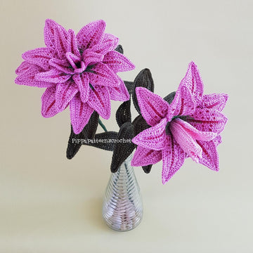 Rose Lily