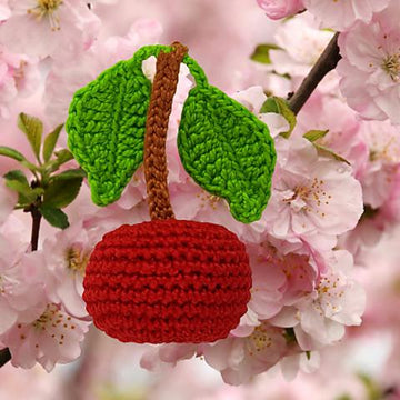 Cherry with stalk and leaves