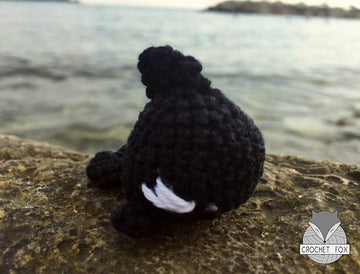 Orca Whale