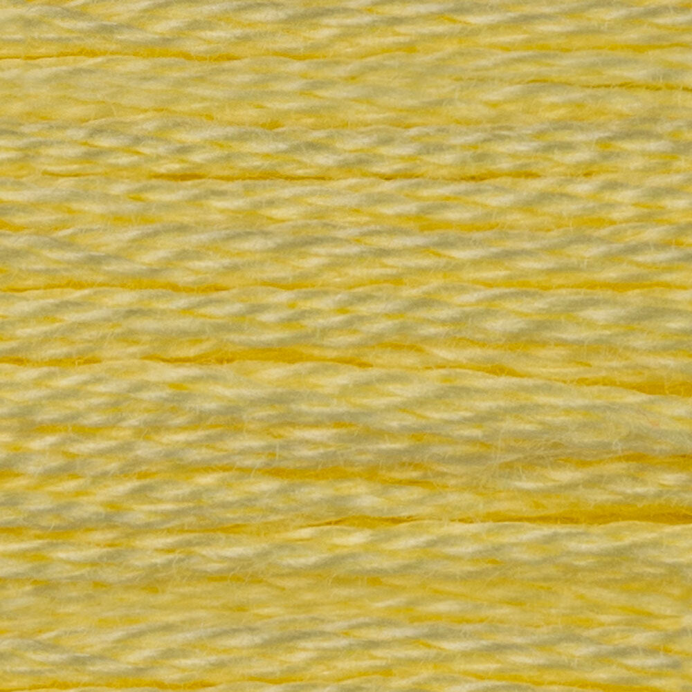 DMC Stranded Cotton - Warm Shades