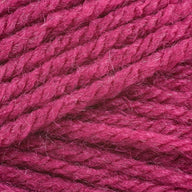 Raspberry (112)