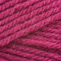 Raspberry (112)