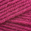 Raspberry (112)