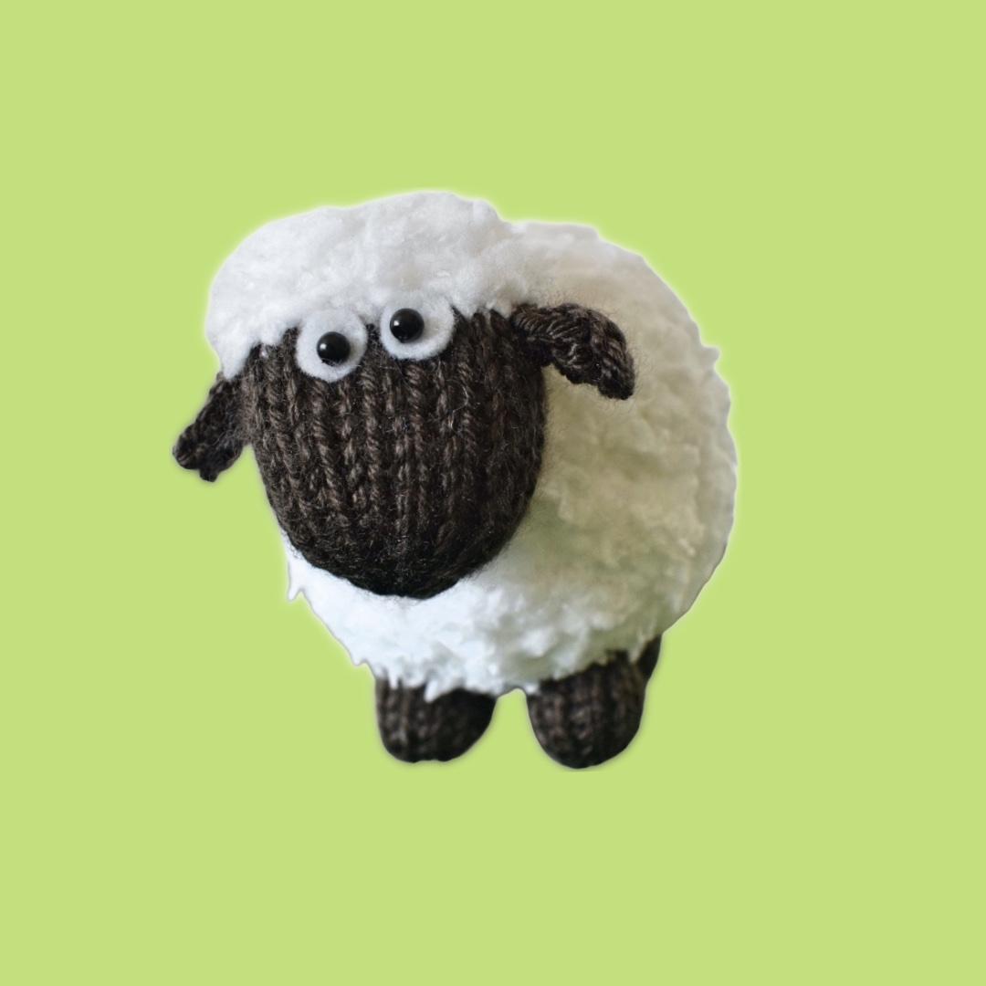 Baa Bara the Sheep