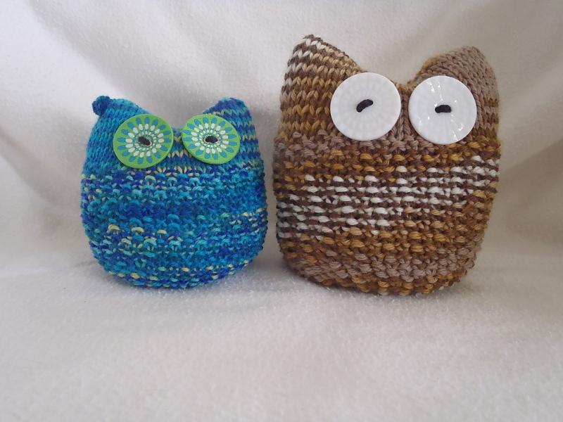 Ollie, the owlet