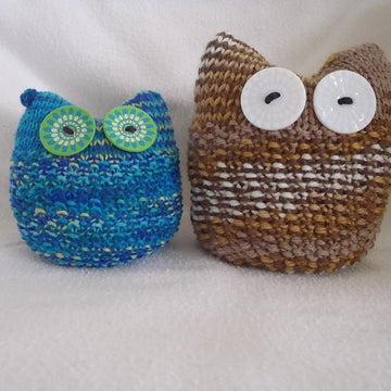 Ollie, the owlet