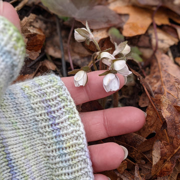 Ephemeral Mitts