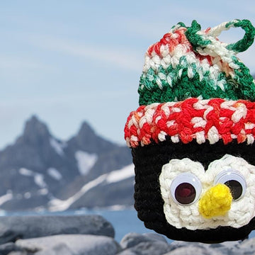 Penguin Gift Bag