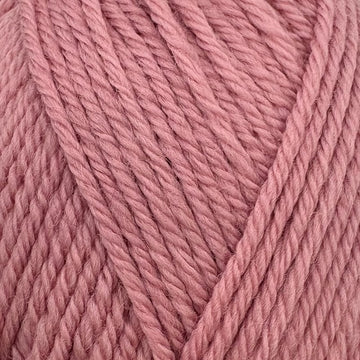 Pale rose (1080)