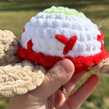 Eyeball Turtle Plush
