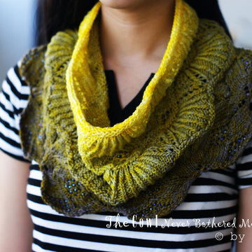 The Cowl Never Bothered Me Anyway