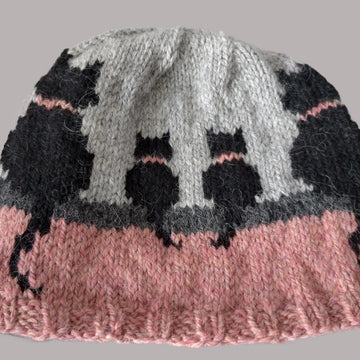 Cat and Kitten Training Hat