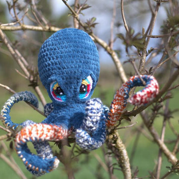 Noah the Octopus