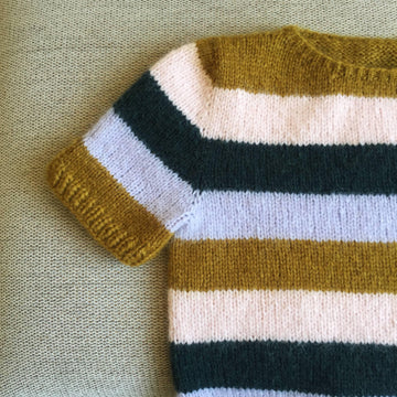 Seamless Retro Stripe Crop Top