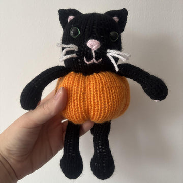 Pumpkin kitty