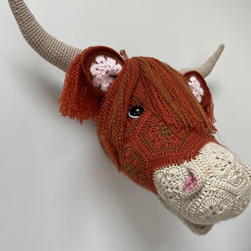 Heather the African flower highland cow head
