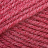 Cyclamen (389)