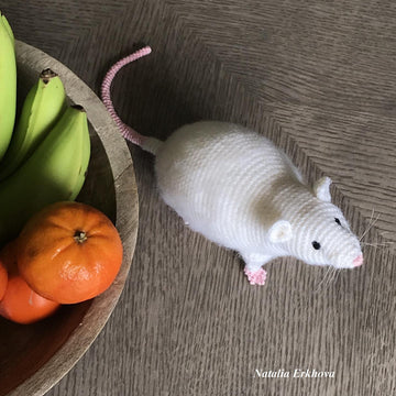 Rat