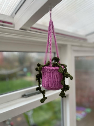 Hanging Plant