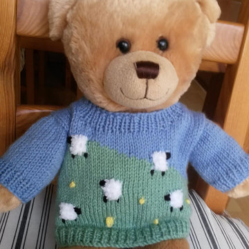 Teddy spring sweater