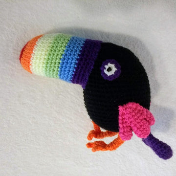 Larry, the Rainbow Toucan