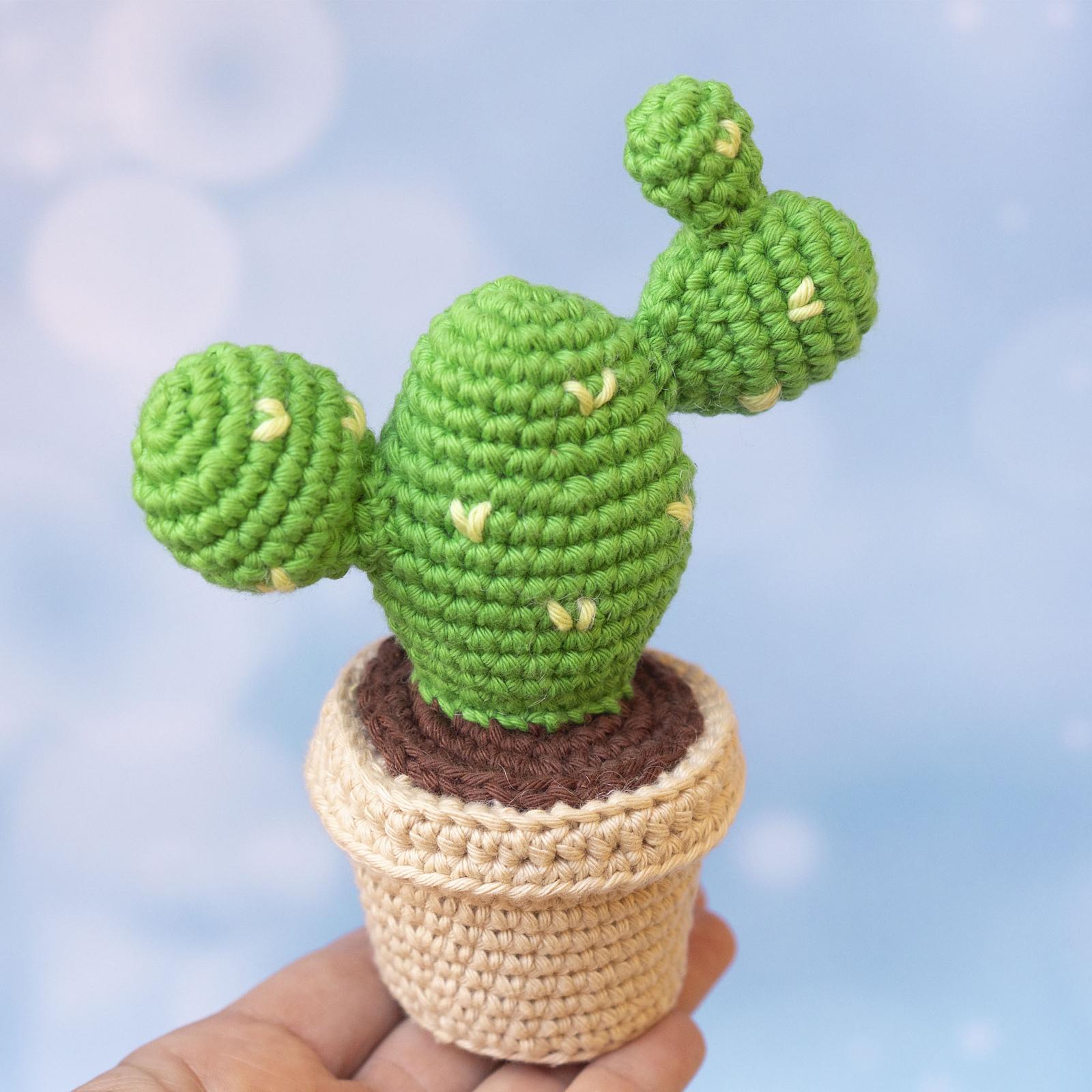 Cactus Bundle