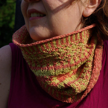 Difference Engine Cowl