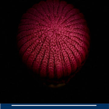 Simple Beanie